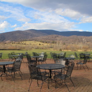 The beautiful view from the patio at the Pollak VIneyards