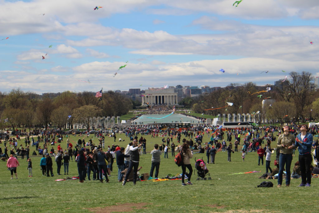 The Blossom Kite Festival