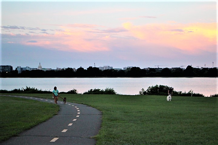 The Mount Vernon Trail at Gravelly Point offers a great view of downtown DC